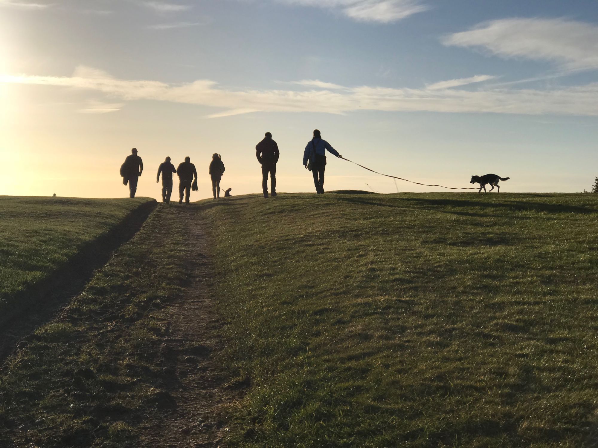 A ReGroup team walking over a grassy hill crest in low evening sun, one person with a dog on a long lead